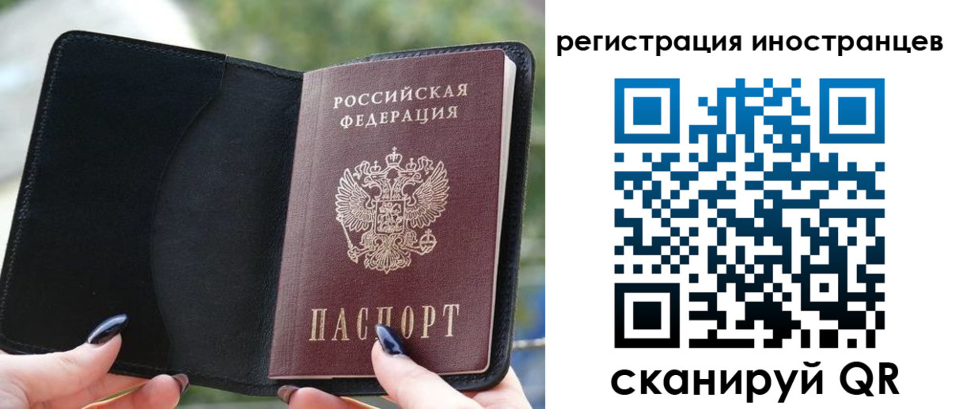 найти адрес прописки в Заречном