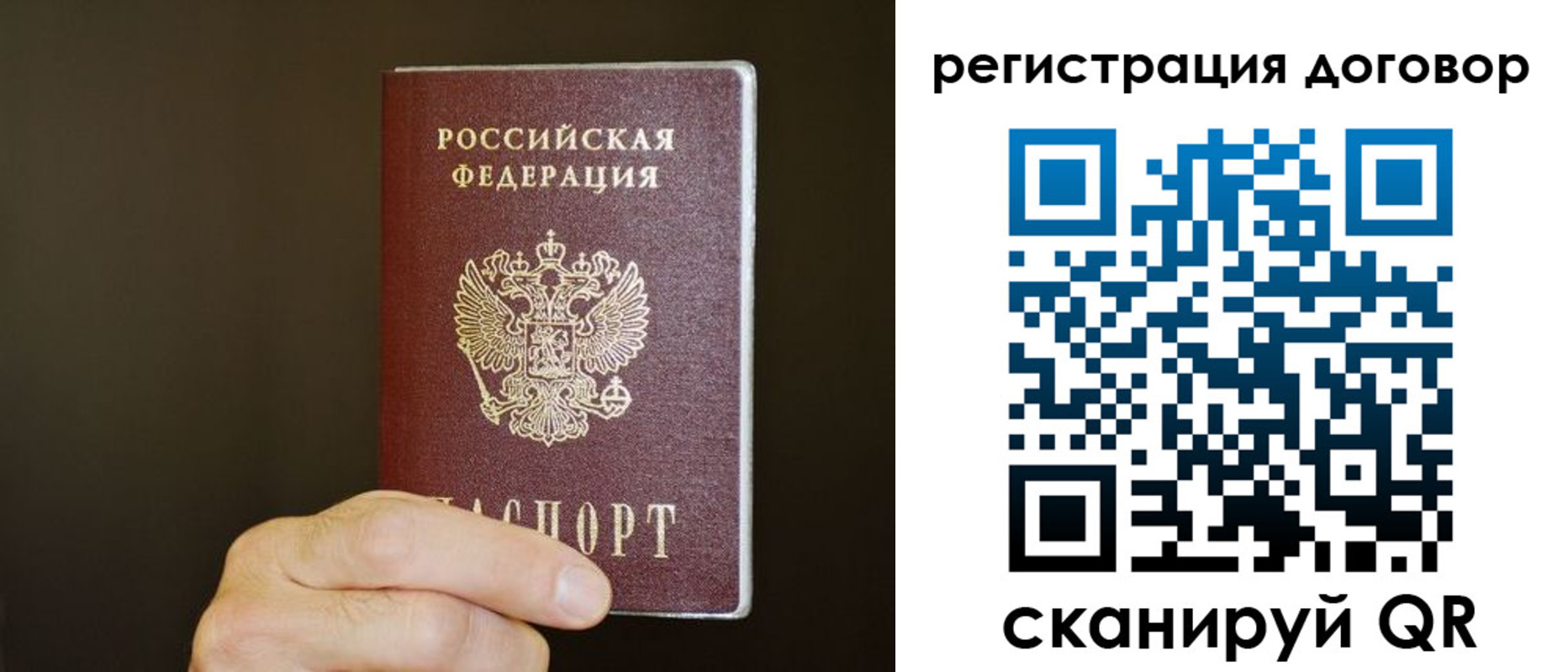 прописка для школы в Заречном